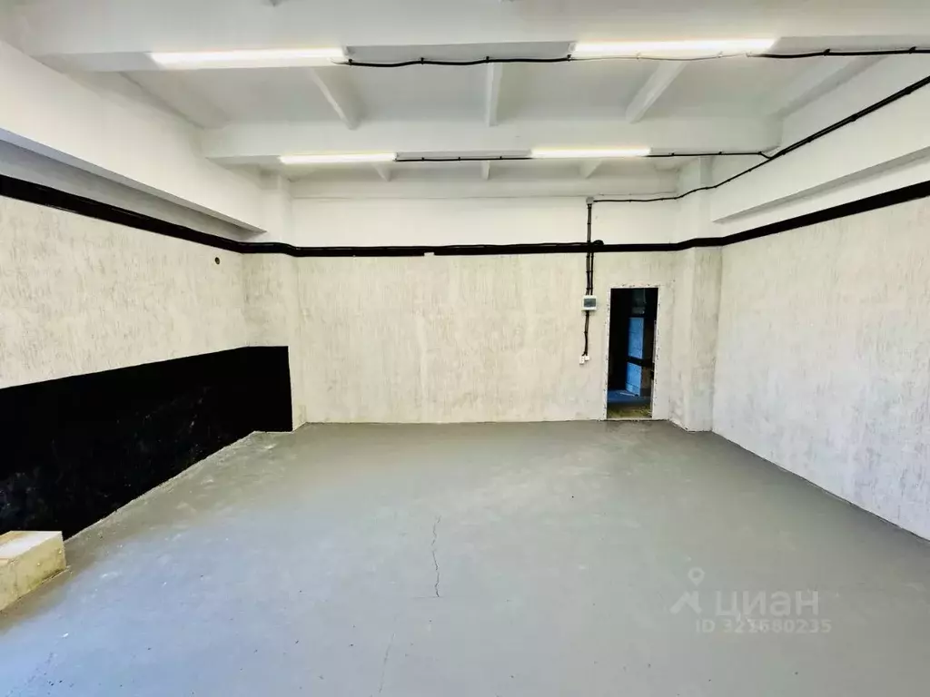 Торговая площадь в Кемеровская область, Кемерово Кузнецкий просп., ... - Фото 1