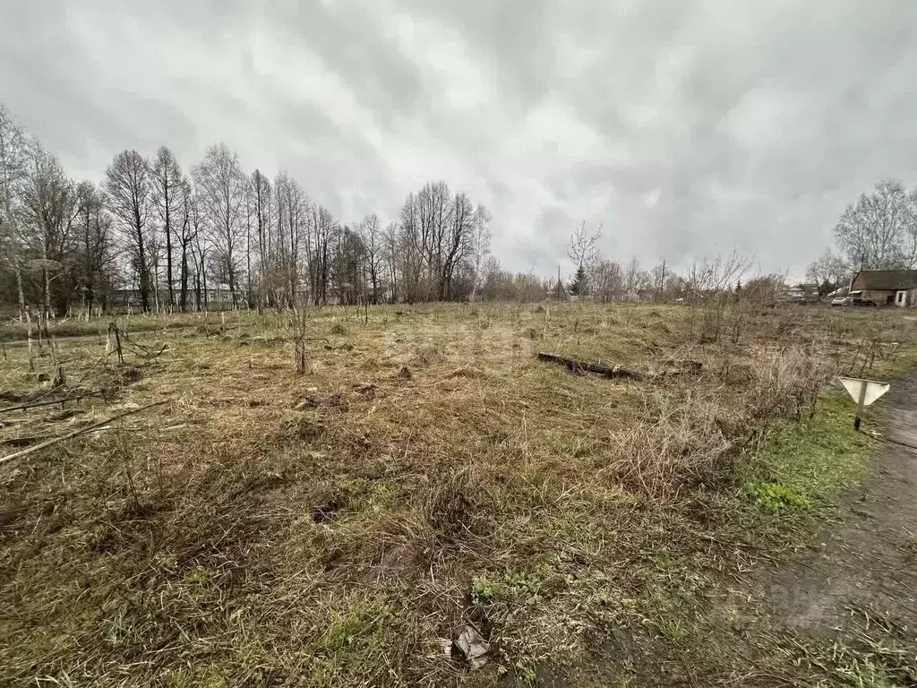 Участок в Владимирская область, Муромский район, с. Борисоглеб ... - Фото 1