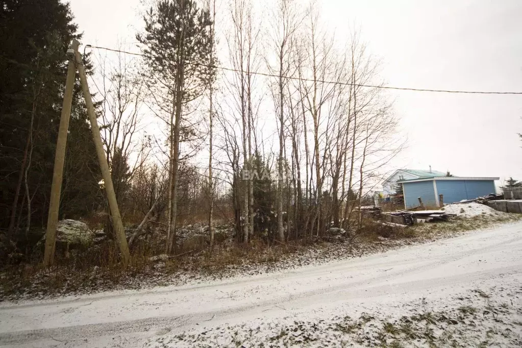 Участок в Карелия, Пряжинский район, Эссойльское с/пос, д. Чуралахта ... - Фото 2