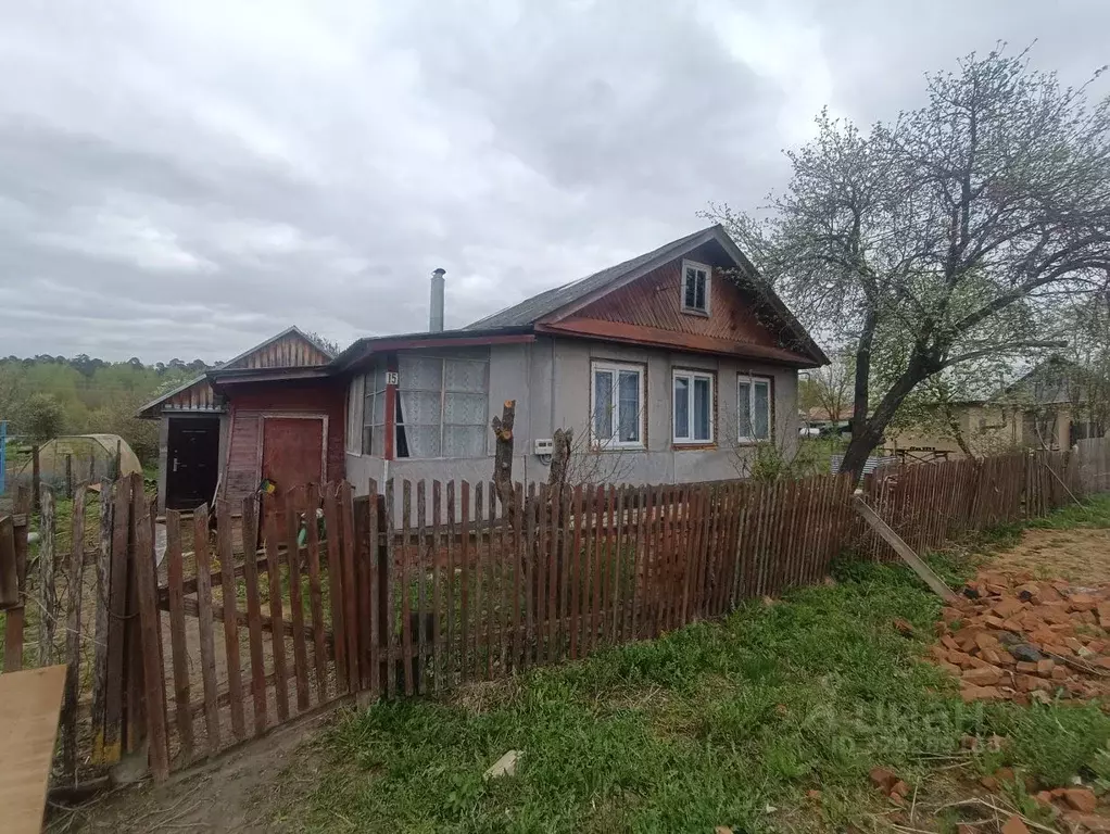 Дом в Ивановская область, пос. Палех ул. Фрунзе, 15 (41 м) - Фото 1