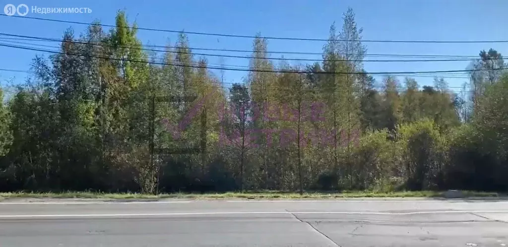 Участок в Санкт-Петербург, Зеленогорск (24 м) - Фото 2