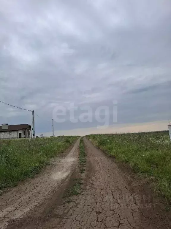 Участок в Белгородская область, Белгородский район, Крутологское ... - Фото 0