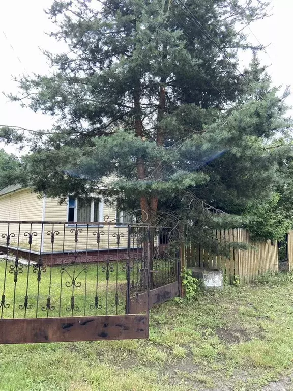 Дом в Московская область, Воскресенск городской округ, д. Лидино 35А ... - Фото 1