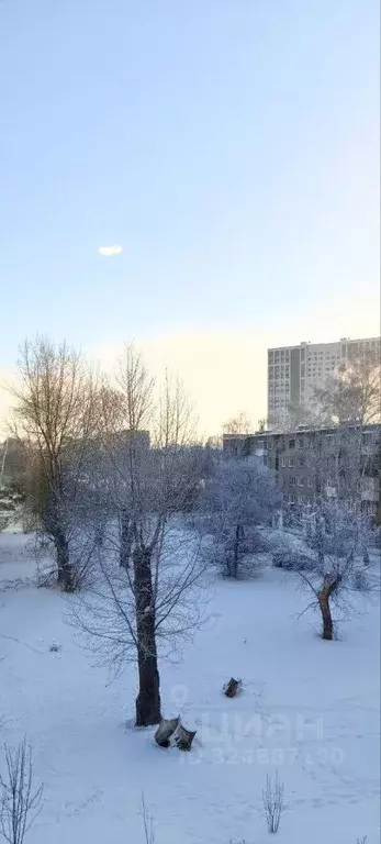 2-к кв. Новосибирская область, Новосибирск ул. Забалуева, 8 (43.1 м) - Фото 2