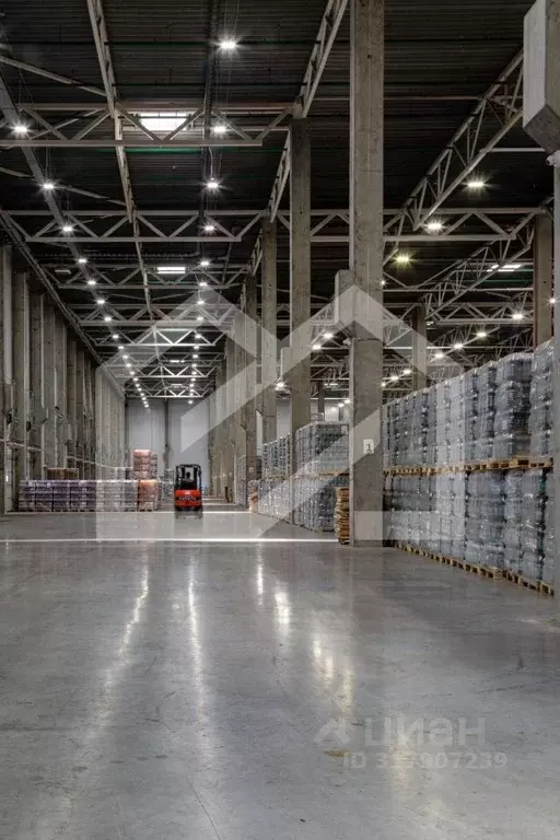 Склад в Московская область, Богородский городской округ, пос. Затишье, ... - Фото 0