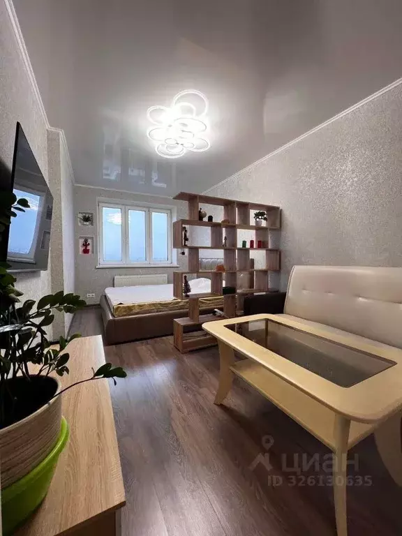 1-к кв. Московская область, Ленинский городской округ, д. Сапроново, ... - Фото 2