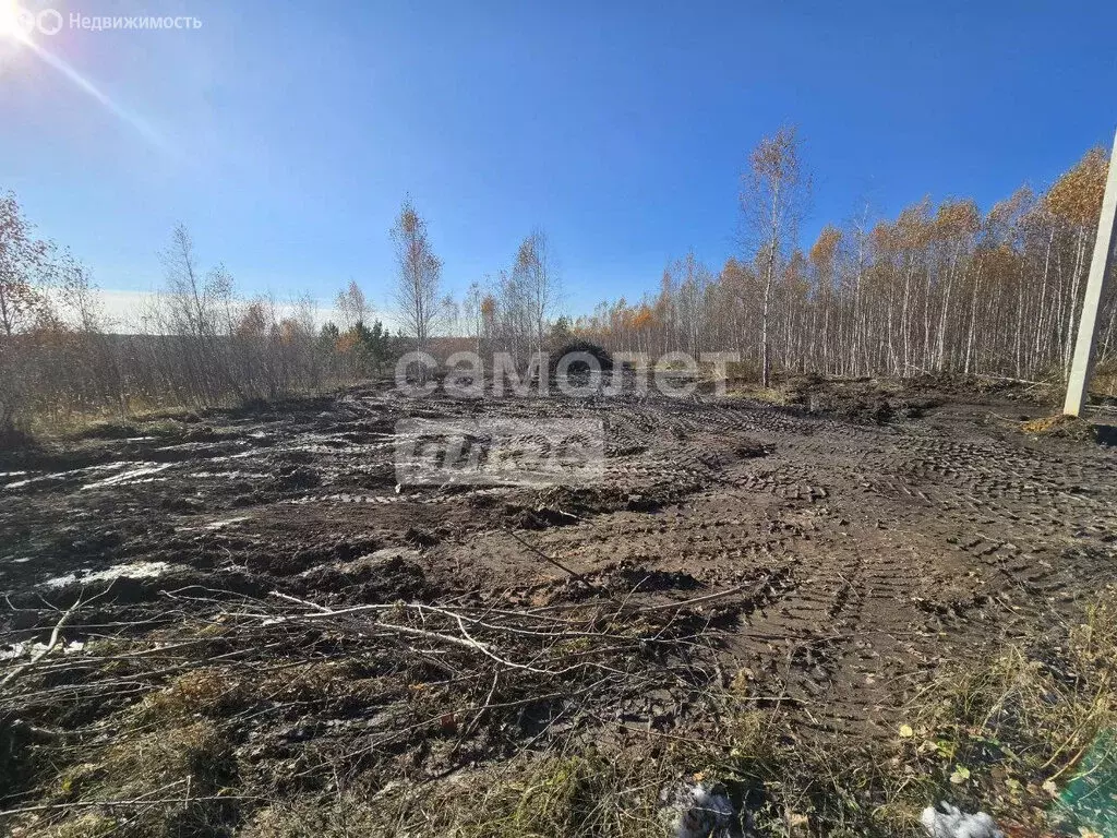 Участок в Кременкульское сельское поселение, деревня Осиновка (9.99 м) - Фото 1