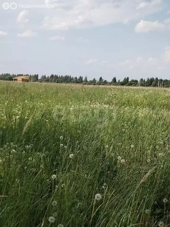 Участок в Кострома (11 м) - Фото 2