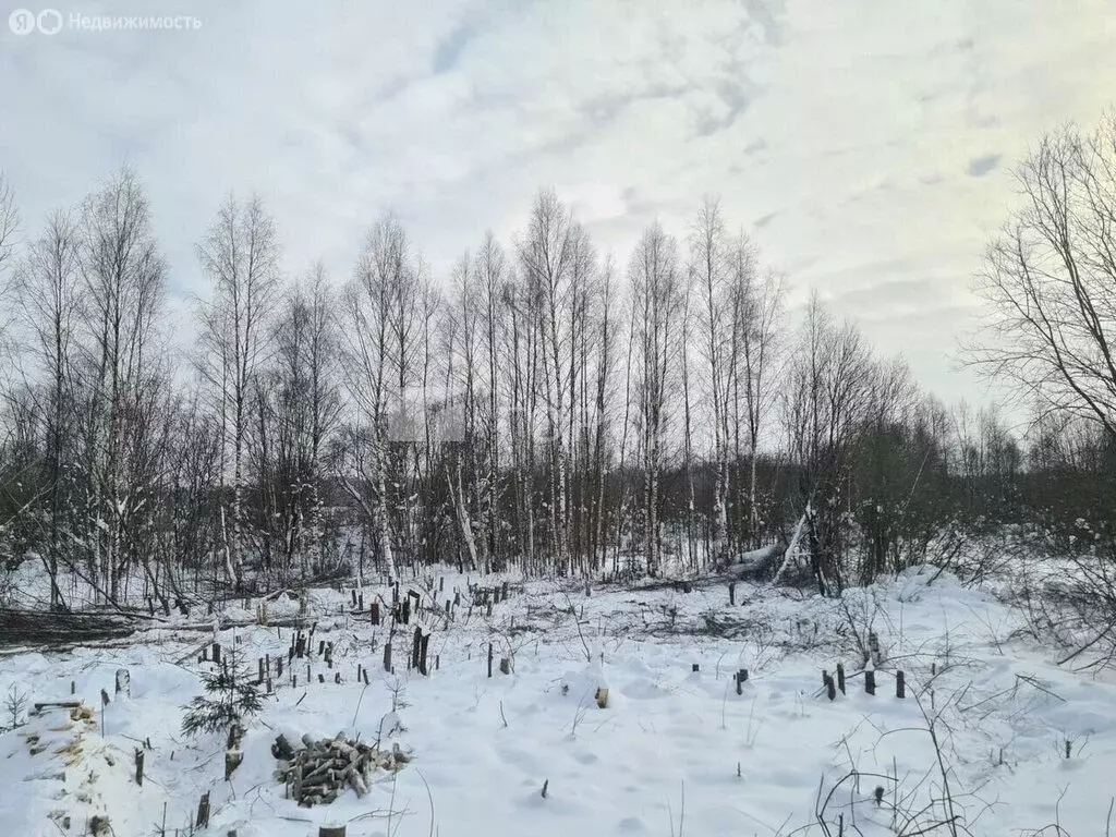 Участок в село Онуфриево, Полевая улица, 33 (7.5 м) - Фото 2