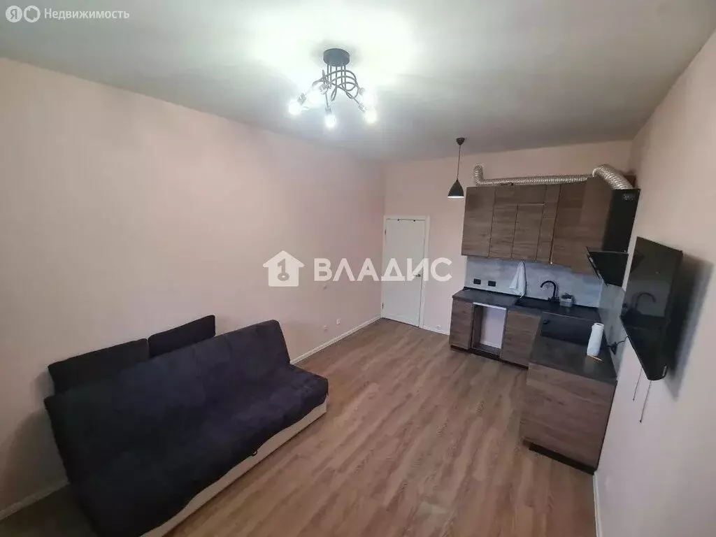 Квартира-студия: Санкт-Петербург, Гудиловская улица, 6к1 (24.3 м) - Фото 1
