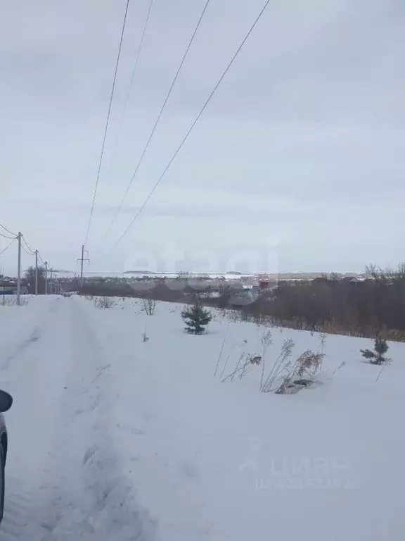 Участок в Алтайский край, Белокуриха ул. Грибная (8.9 сот.) - Фото 2