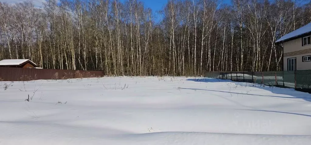 Участок в Московская область, Раменский муниципальный округ, Заря СНТ ... - Фото 2