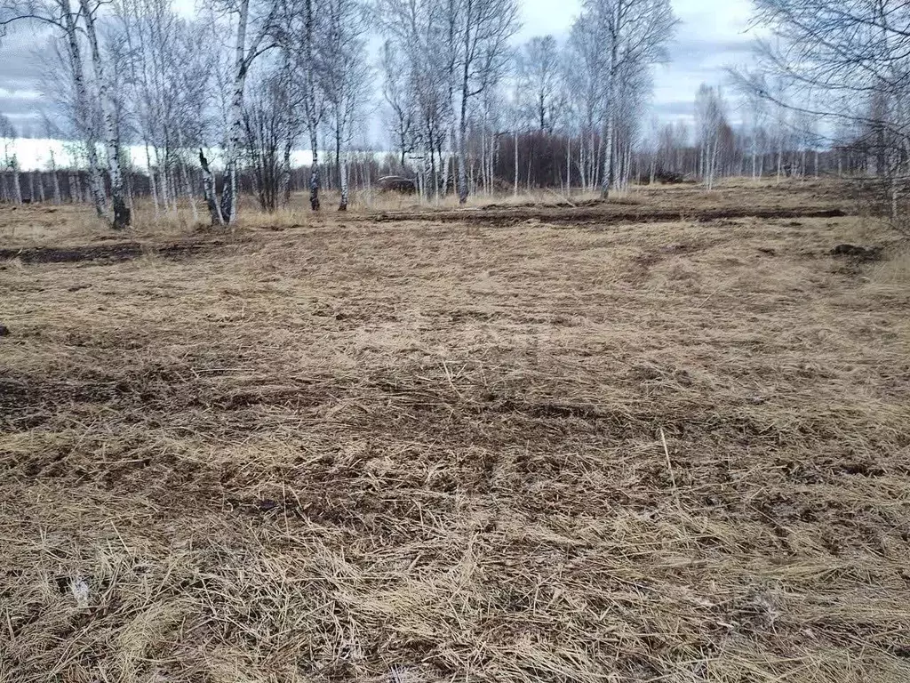 Участок в Тюменская область, Нижнетавдинский муниципальный округ, ... - Фото 1