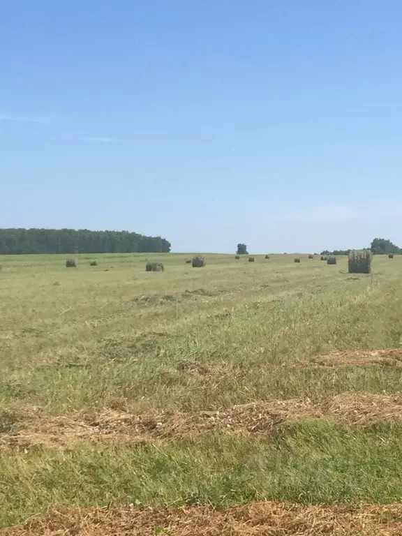 Участок в Калужская область, Бабынинский муниципальный округ, ... - Фото 1