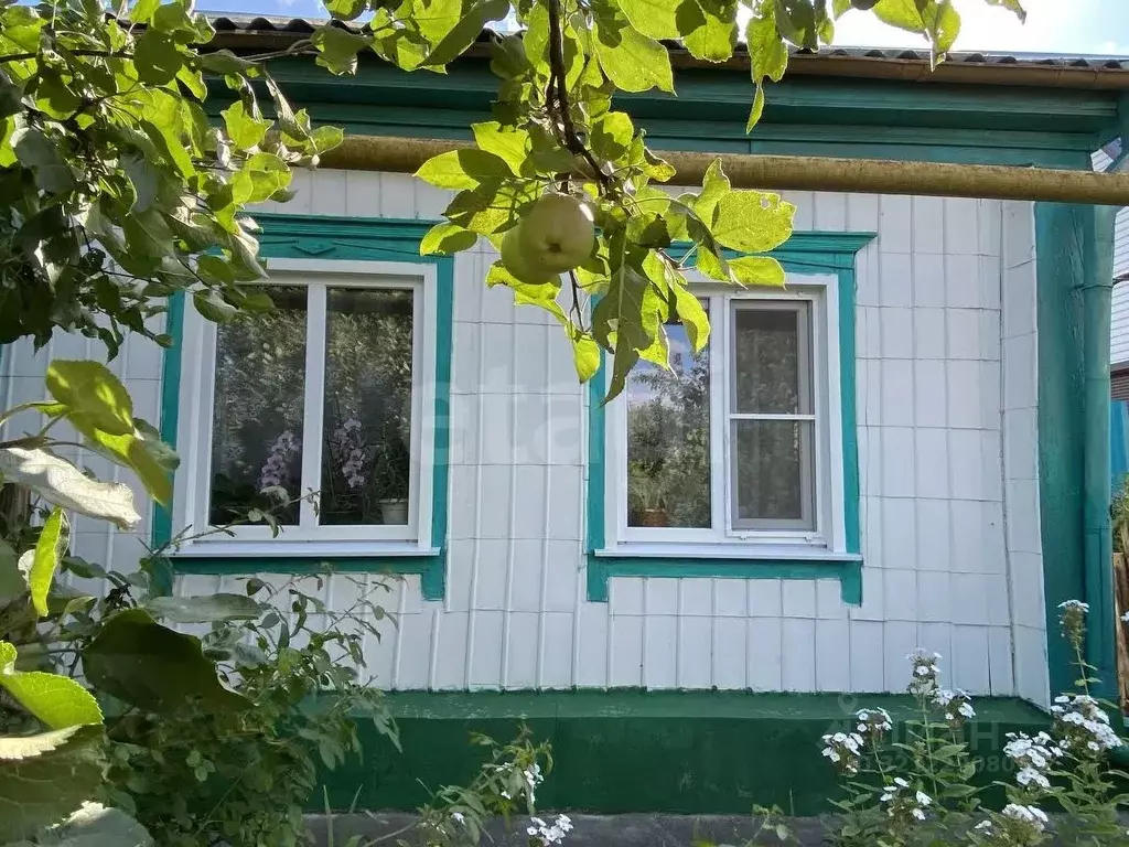 Дом в Воронежская область, Таловая рп ул. Садовая, 36 (74 м) - Фото 1