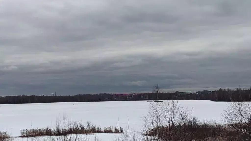 Участок в Московская область, Богородский городской округ, пос. ... - Фото 1