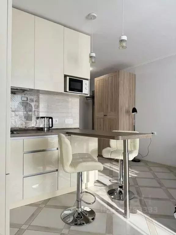 Студия Санкт-Петербург пос. Песочный, Садовая ул., 90 (25.0 м) - Фото 2