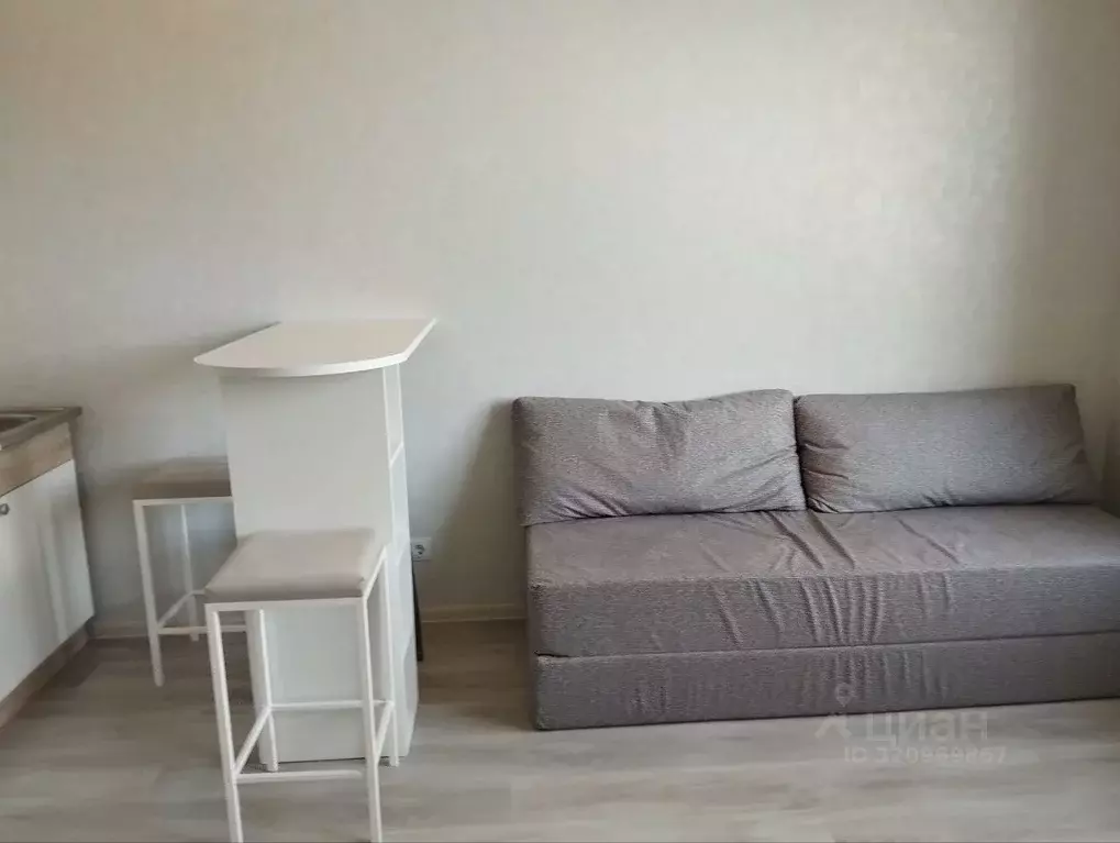 Студия Пермский край, Пермь Кузнецкая ул., 43В (21.4 м) - Фото 1