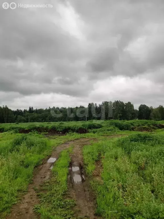 участок в сергиево-посадский городской округ, деревня селково (1655.47 . - Фото 0