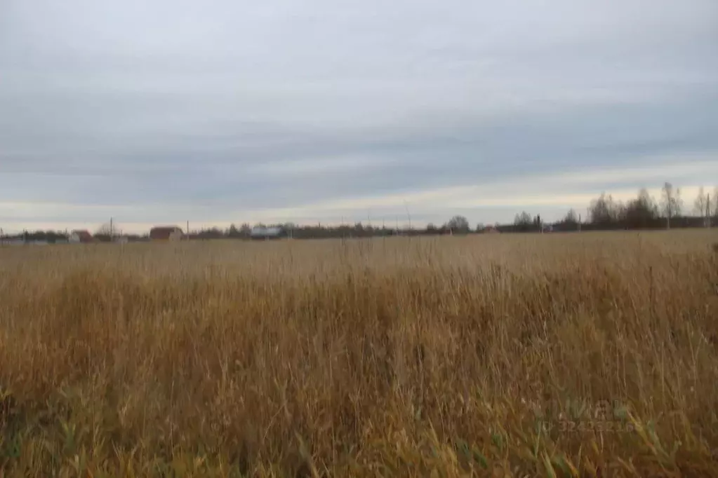 Участок в Московская область, Шаховская муниципальный округ, с. Белая ... - Фото 1