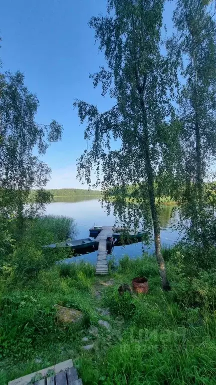 Участок в Ленинградская область, Выборгский район, Каменногорское ... - Фото 0