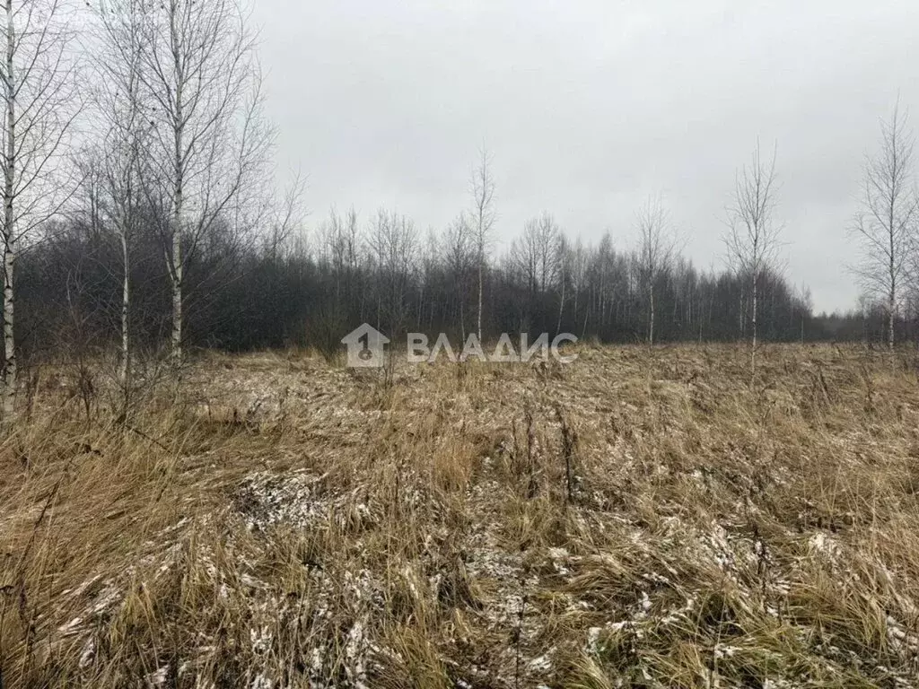 Участок в село Китово, 3-я улица Мира, 36 (9.8 м) - Фото 1