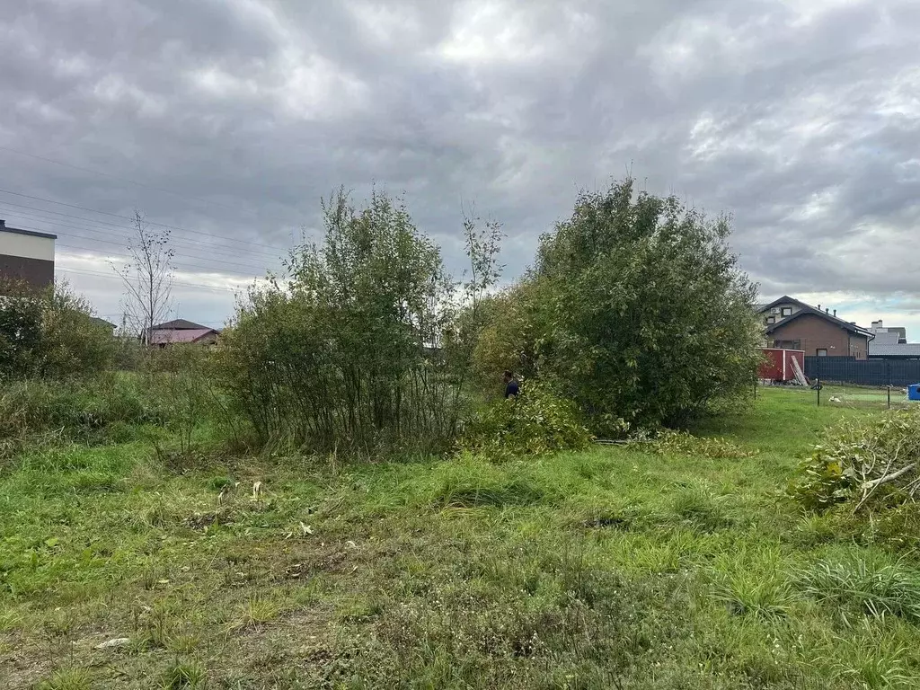 Участок в Ленинградская область, Всеволожский район, Колтушское ... - Фото 2