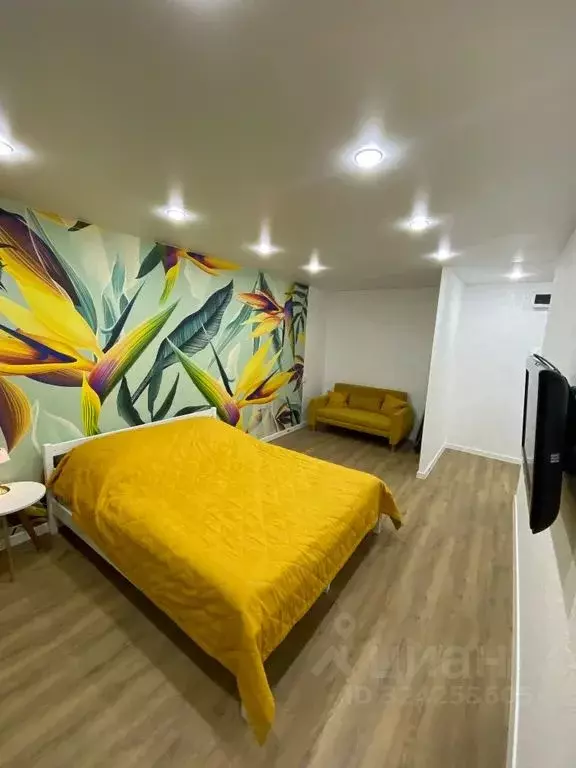 1-к кв. Мурманская область, Мурманск ул. Баумана, 27 (30.0 м) - Фото 1