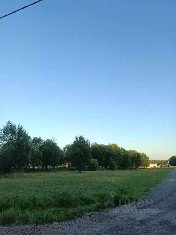 Участок в Московская область, Мытищи городской округ, д. Фелисово ул. ... - Фото 0