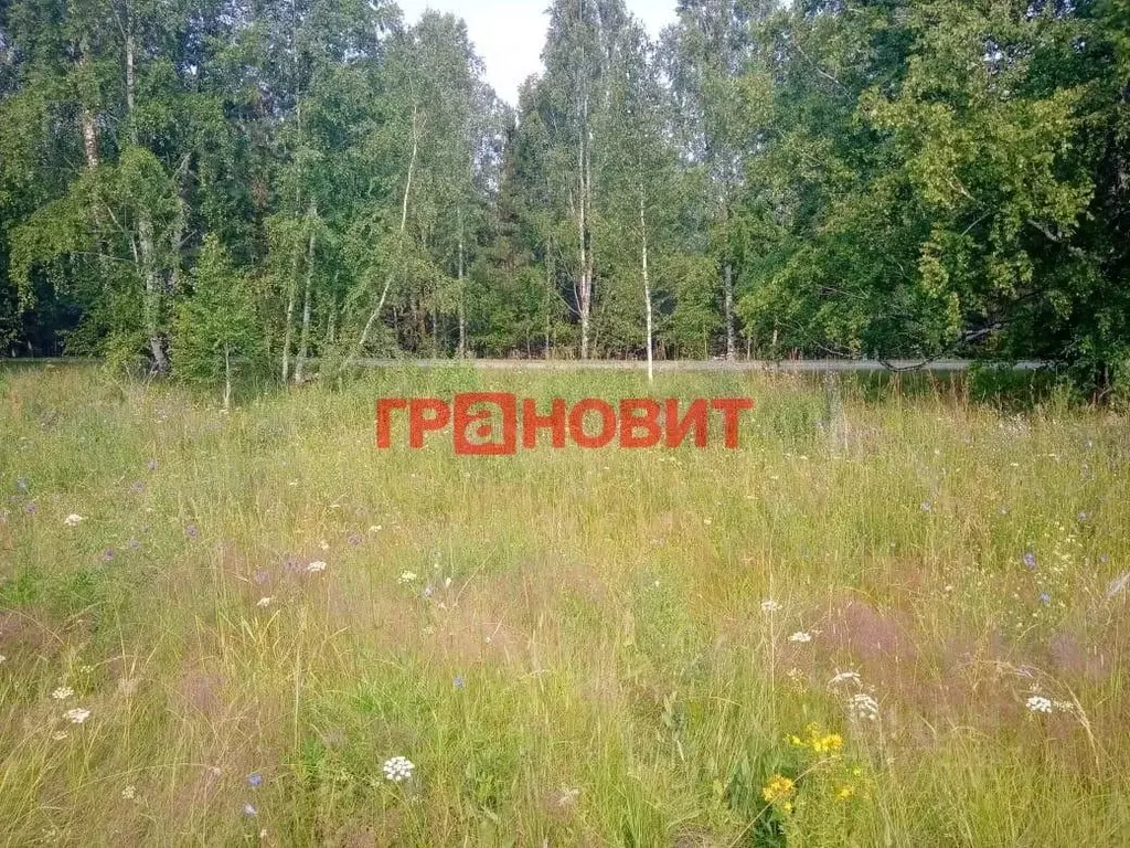 Участок в Новосибирская область, Мошковский район, с. Ташара Восточная ... - Фото 2