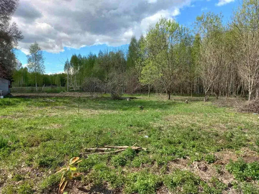 Участок в Нижегородская область, Городецкий муниципальный округ, д. ... - Фото 0
