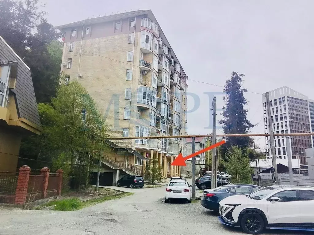 Помещение свободного назначения в Краснодарский край, Сочи городской ... - Фото 2