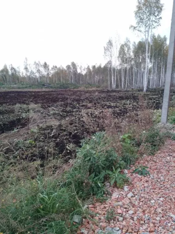 Участок в Тюменская область, Нижнетавдинский муниципальный округ, ... - Фото 1