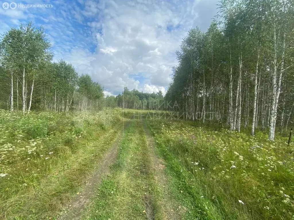 Участок в Тюменская область, Нижнетавдинский муниципальный округ, ... - Фото 1