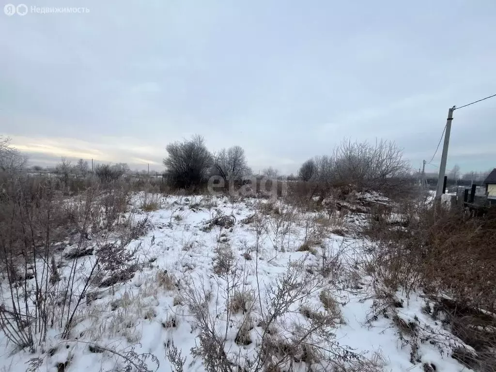 Участок в Новосибирский район, село Криводановка (7.1 м) - Фото 0