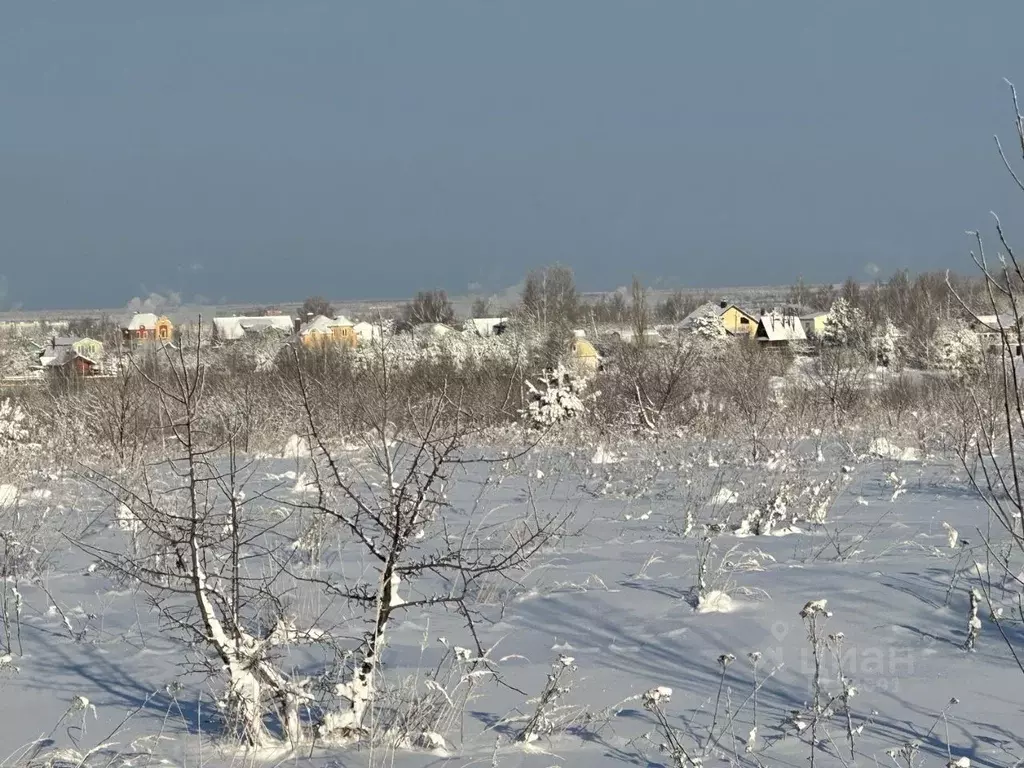 Участок в Нижегородская область, Богородский муниципальный округ, д. ... - Фото 0
