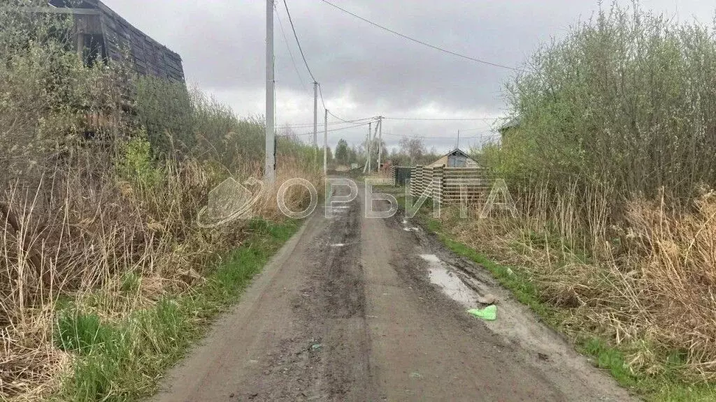 Участок в Тюменская область, Тюмень Поле Чудес-2 садовое товарищество, ... - Фото 1