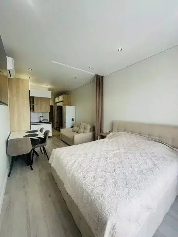 1-к кв. Краснодарский край, Сочи городской округ, Дагомыс пгт ш. ... - Фото 2