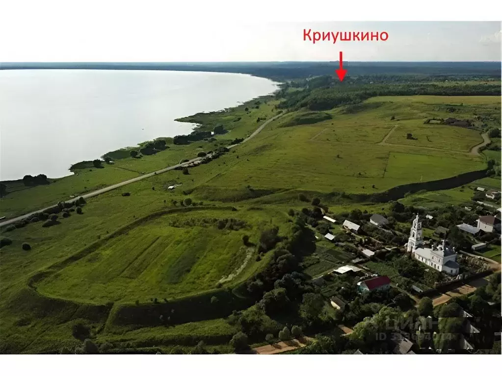 Участок в Ярославская область, Переславль-Залесский муниципальный ... - Фото 1