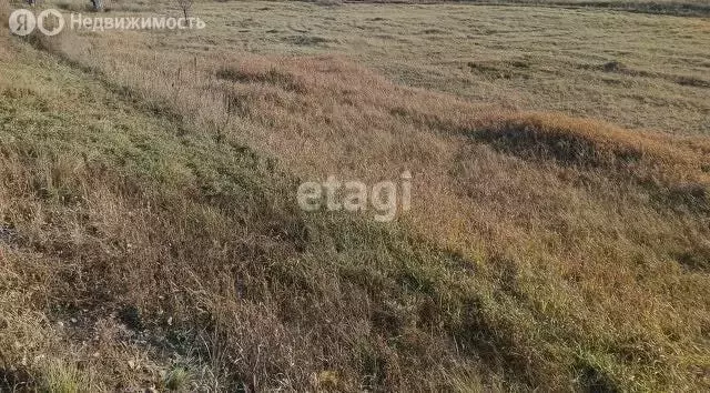 Участок в Селиванихинский сельсовет, посёлок Топольки, Школьная улица ... - Фото 1
