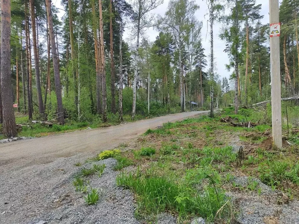 Участок в Свердловская область, Полевской городской округ, с. ... - Фото 1