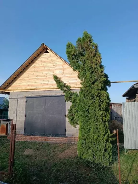 Дом в Нижегородская область, Арзамас городской округ, с. Васильев Враг ... - Фото 1