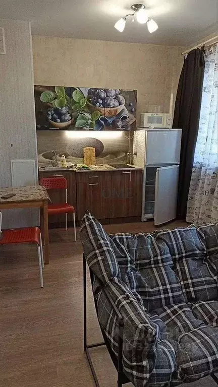 Студия Новосибирская область, Новосибирск ул. Шевченко, 11 (30.0 м) - Фото 2