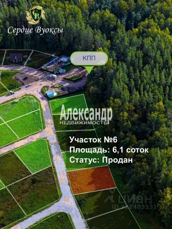 Участок в Ленинградская область, Приозерский район, Красноозерное ... - Фото 2