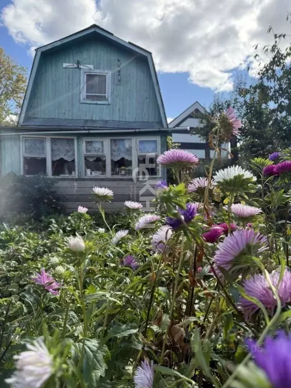 Дом в Нижегородская область, Нижний Новгород д. Ройка, 136 (45 м) - Фото 1
