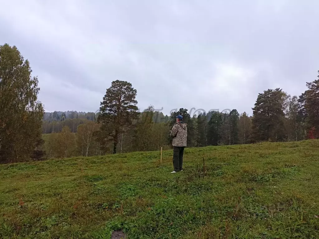 Участок в Алтай, Турочакский район, с. Турочак ул. Солнечная Поляна ... - Фото 1
