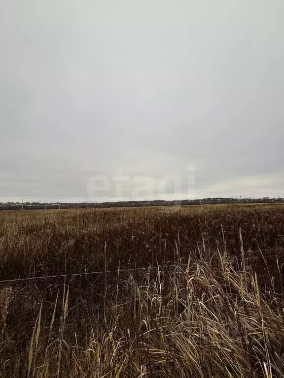 Участок в Тульская область, Тула ул. Добрая, 45 (11.61 сот.) - Фото 1