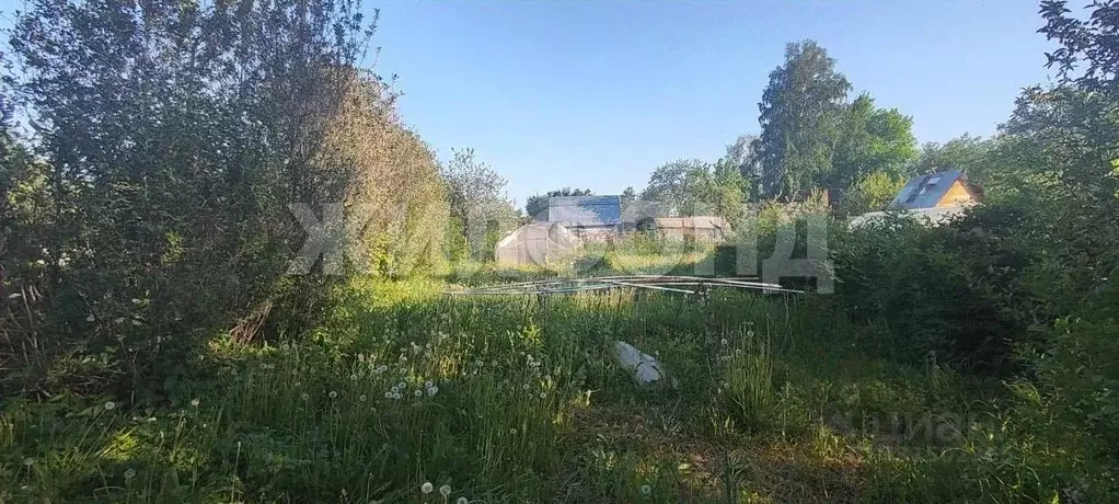 Дом в Новосибирская область, Новосибирск Рябинка СНТ, 3/21 (31 м) - Фото 2