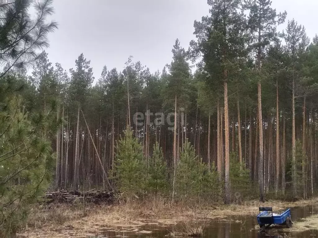 Участок в Коми, Сыктывкар городской округ, Верхняя Максаковка пгт 6-я ... - Фото 0