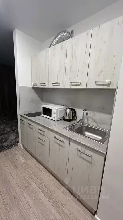 Студия Тюменская область, Тюменский муниципальный округ, д. Патрушева ... - Фото 1